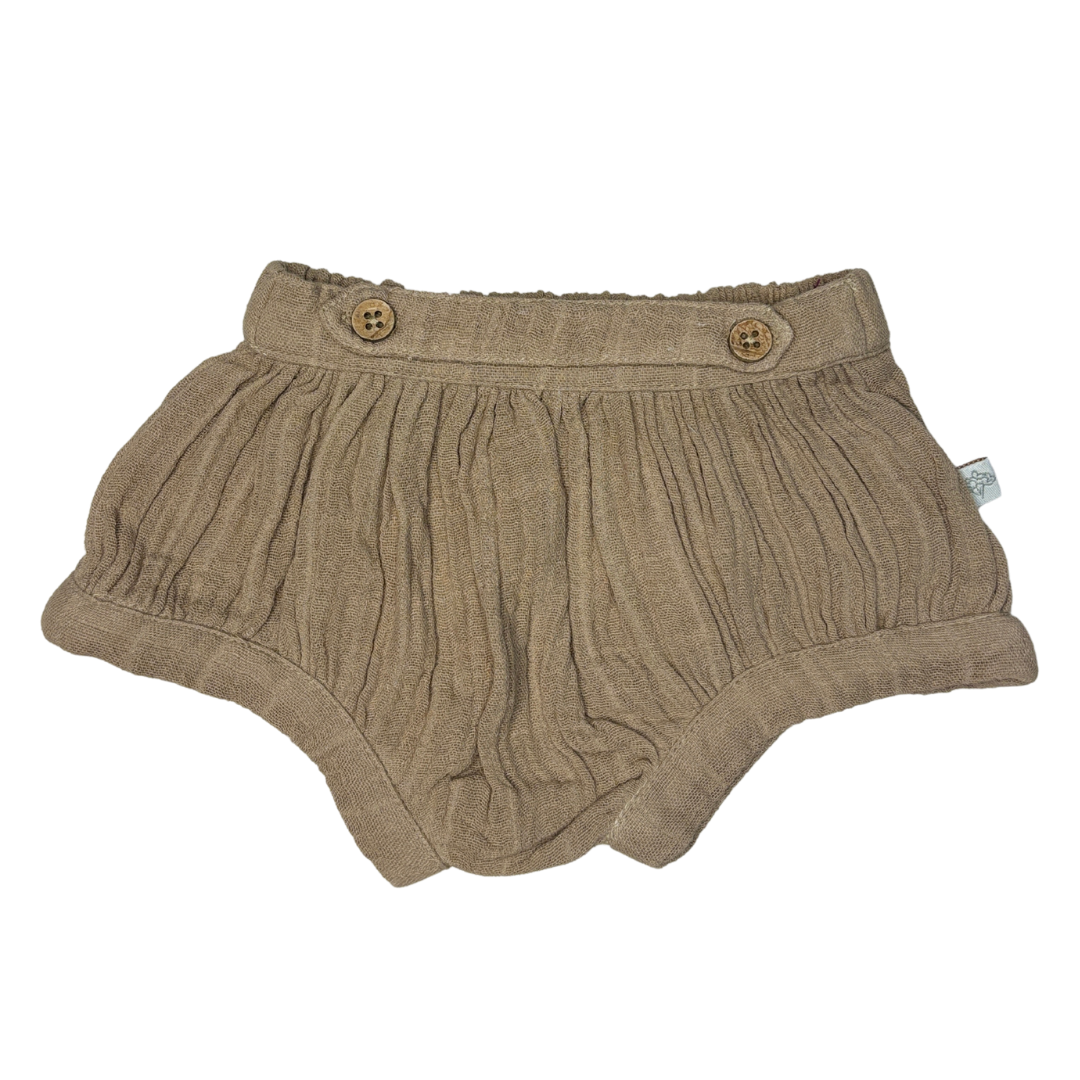 Minibelt Bloomers, Teddy